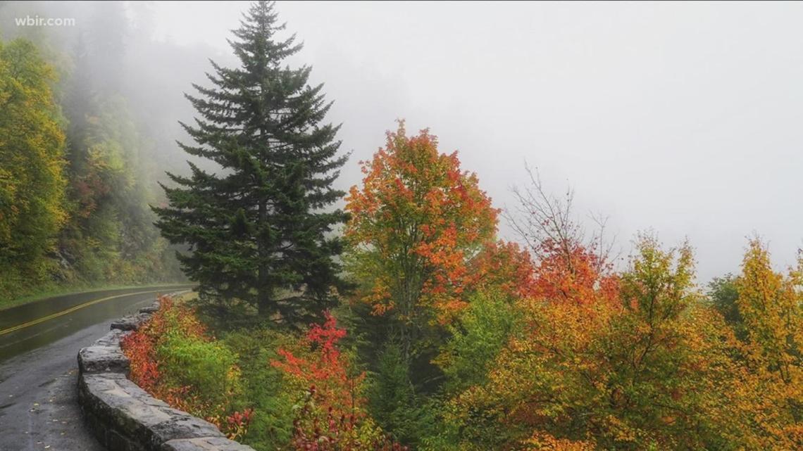 Dreams Come True With This Luxury Cabin! Gatlinburg Esterno foto