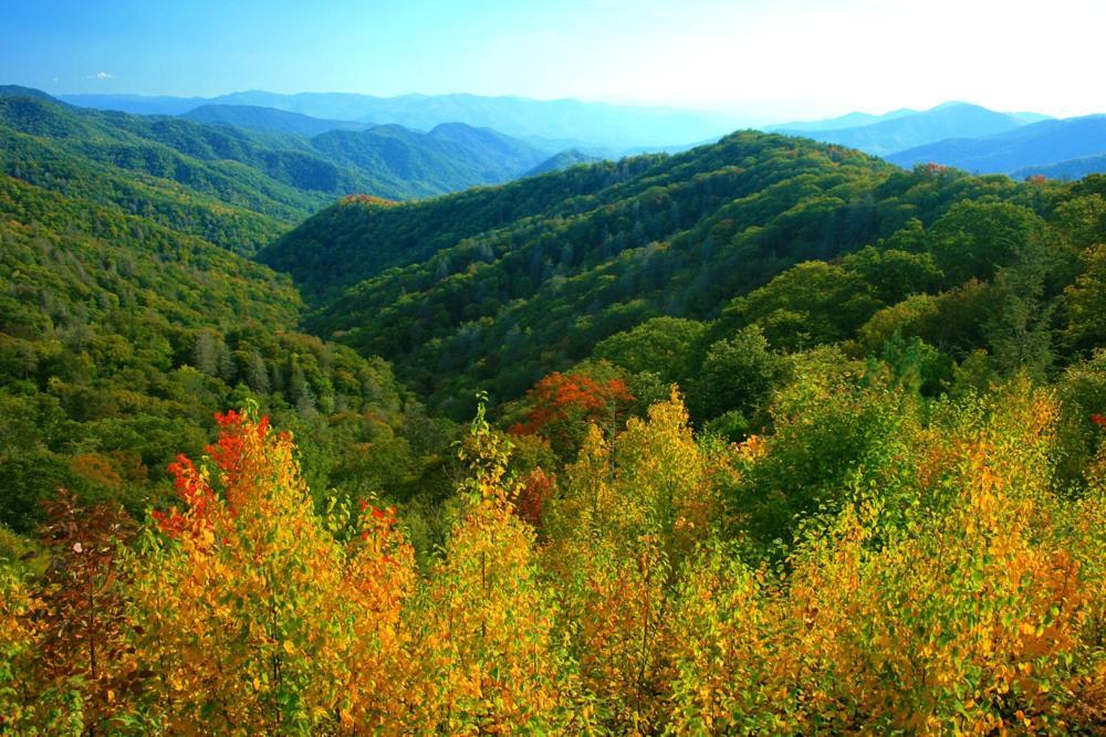 Dreams Come True With This Luxury Cabin! Gatlinburg Esterno foto